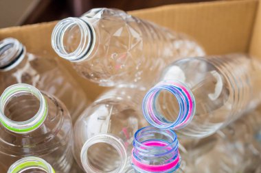 Geri dönüşüm kutusundaki plastik şişeler konsepti yeniden kullanır