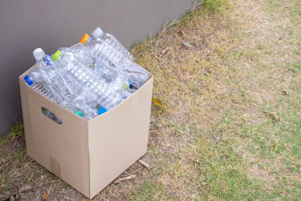 plastic bottles in brown recycle garbage box