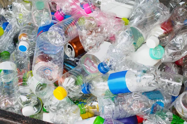 Plastikowe Butelki Śmietniku Recyklingu Zamknąć — Zdjęcie stockowe