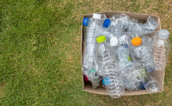 Plastflaskor Brun Papperskorgen Grönt Gräs — Stockfoto