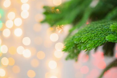 Bokeh ışıklandırması arka planına sahip yakın noel ağacı
