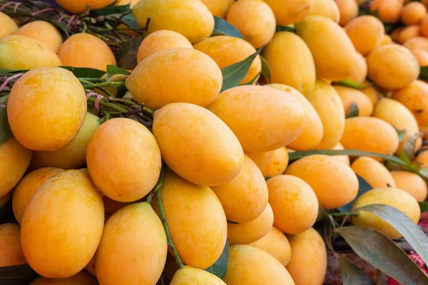 Ciruela Mariana Madura Fresca Mayongchid Maprang Mango Ciruela Frutas Tropicales — Foto de Stock