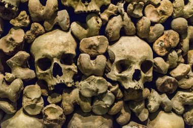 Gerçek insan kafatasları iskelet kemik kemik kemik kemik kemik mezar, ölüm ve acı resmi