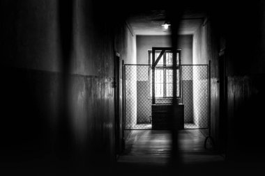 Auschwitz Birkenau toplama kampındaki idam alanı, karanlık, korkunç koridor.