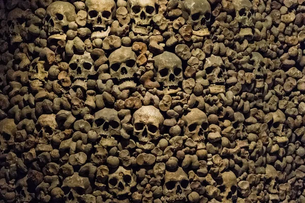 real wall human skulls bones skeleton ossuary burial site, creepy looks