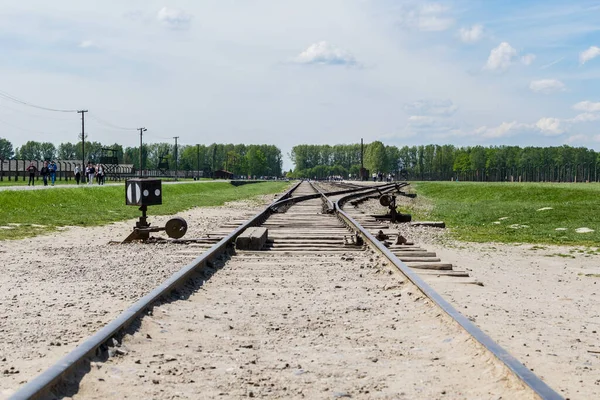 Spoorlijnen Bij Concentratiekamp Auschwitz — Stockfoto