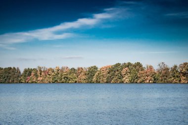 Gölün kenarındaki koyu mavi arka planda rengarenk sonbahar ağaçlarının minimum bileşimi