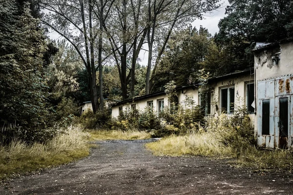 wide picture of overgrown abandoned barracks building in a cold forest