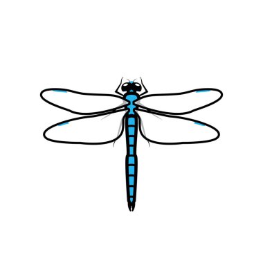 Yusufçuk logosu simgesi işareti, mavi renk. Bir yusufçuk resmi, izole edilmiş, mavi renkli, basit şeffaf kanatlı,.