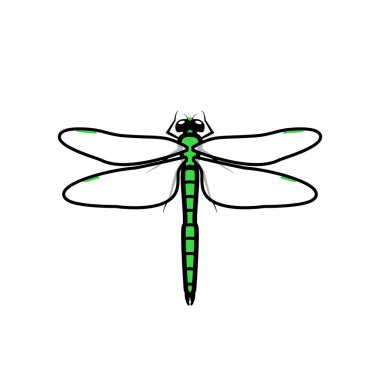 Yusufçuk logosu simgesi işareti, yeşil renk. Bir yusufçuk resmi, izole edilmiş, yeşil renkli, basit şeffaf kanatları olan,.