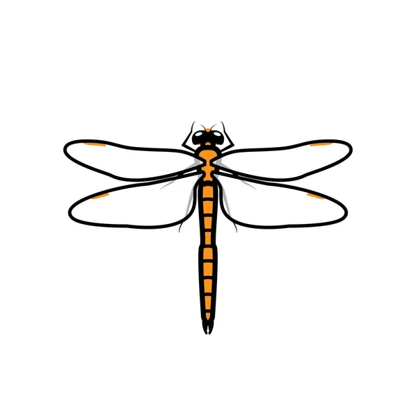 Dragonfly Logo Symbol Icon Sign Orange Color Illustration Dragonfly Isolated — Stock Vector