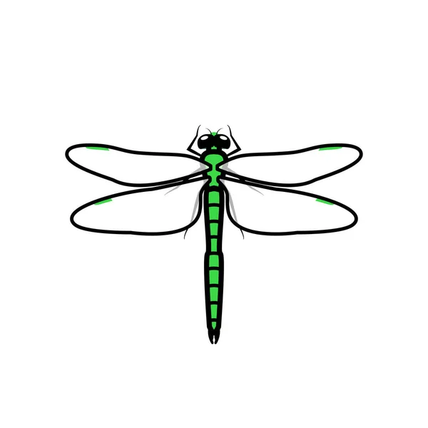 Dragonfly Logo Symbole Icône Signe Couleur Verte Illustration Une Libellule — Image vectorielle