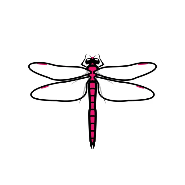 Значок Логотипу Dragonfly Рожевий Колір Ілюстрація Бабка Ізольована Рожевого Кольору — стоковий вектор