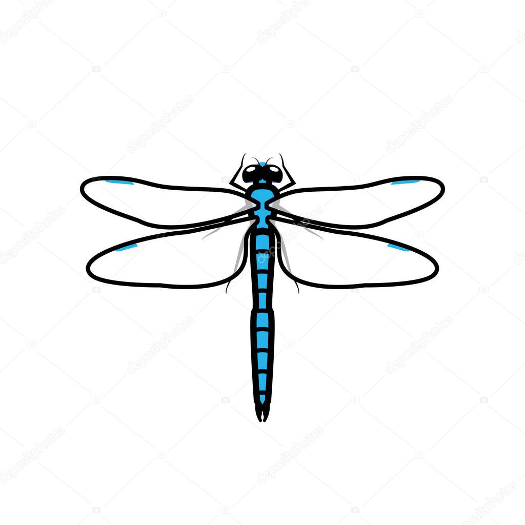 Dragonfly logo symbol icon sign, blue color. An illustration of a dragonfly, isolated, blue colored, with simple transparent wings, outlined.