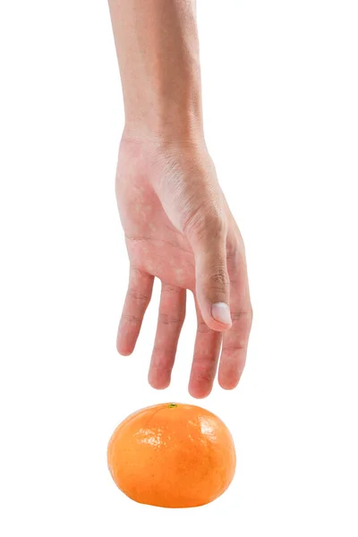 Die Hand Hält Eine Orangefarbene Frucht Isoliert Auf Weißem Hintergrund — Stockfoto