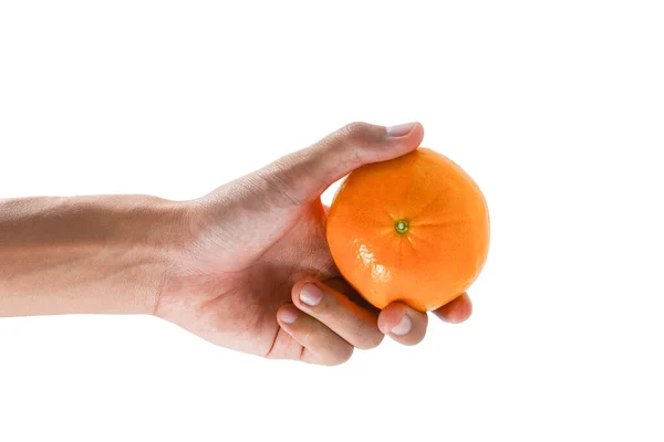 Handen Håller Orange Frukt Isolerad Vit Bakgrund Klippbana Ingår — Stockfoto
