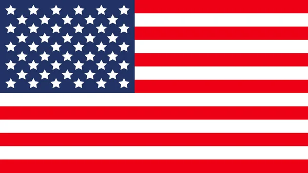 Flagge Amerikas Vektor Illustration — Stockvektor