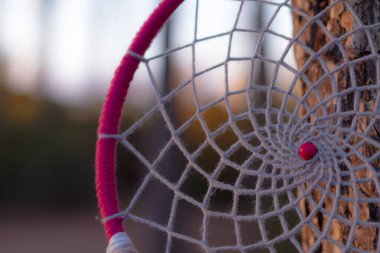 Sonbaharda doğada düş kapanı. Melankolik arka plan. Kapat.