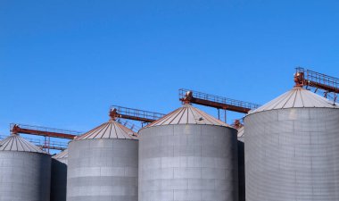 Mısırın metal ambarı, buğday ve mavi gökyüzü ile ayçiçeği