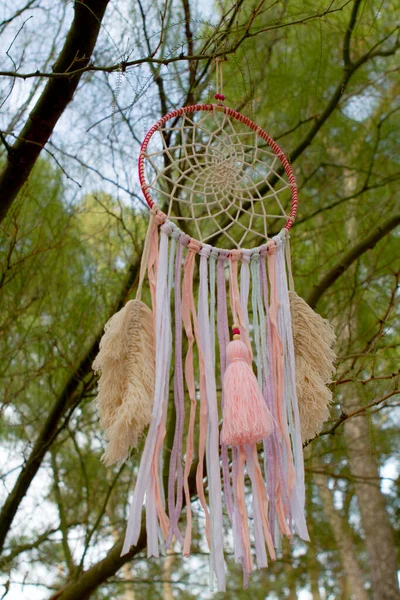 Dreamcatcher Nature Suspended Air Tree — Stock Photo, Image