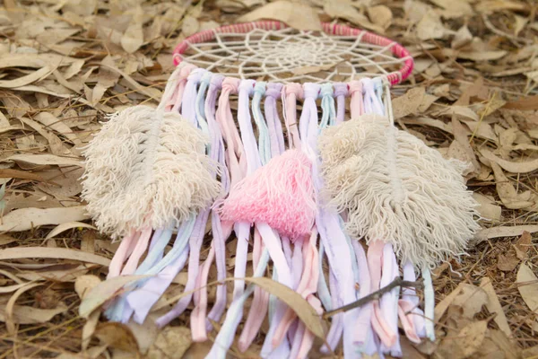 Kuru yaprak tarlasında düş kapanı. Tassel ve iplik tüyleri