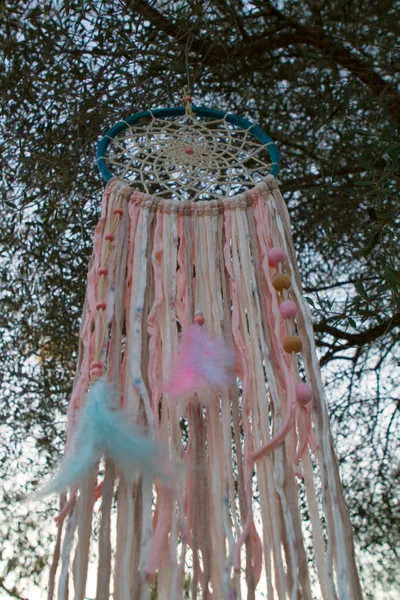 Dreamcatcher Suspended Tree Relax Handmade Handcraft Ecological — Stock Photo, Image