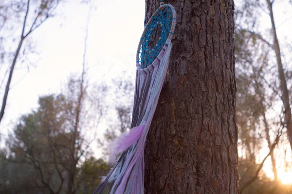 Ormandaki düş kapanı bir çam ağacına asılmış. Ruhsal el işi. Tahta, Tüy ve giysi rüzgarla hareket halinde.