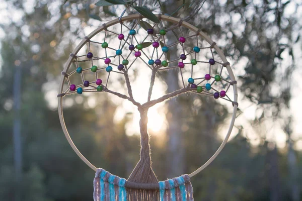 Dreamcatcher Suspended Forest Example Original Handmade Relaxing Activity Tree Live — Stock Photo, Image