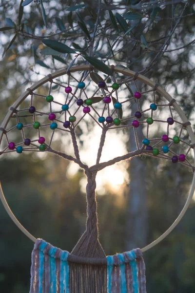 Ormanda asılı bir düş kapanı. Orijinal el yapımı ve rahatlatıcı aktivite örneği. Canlı gerekçe ağacı. Gün batımı