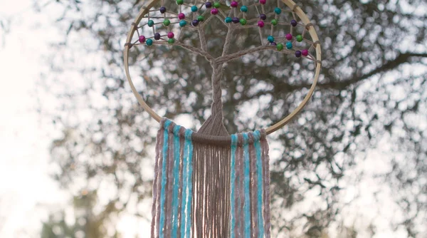 Dreamcatcher Suspended Forest Example Original Handmade Relaxing Activity Tree Live — Stock Photo, Image