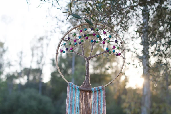 Sonbaharda doğada bir düş kapanı içinde hayat ağacı. Melankolik arkaplan