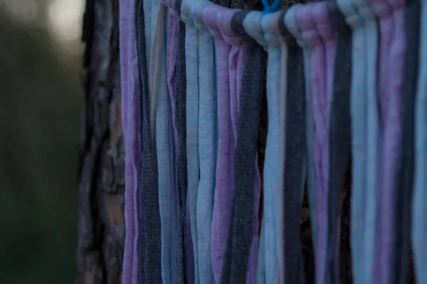 Sonbaharda doğada düş kapanı. Melankolik arka plan. Kapat.