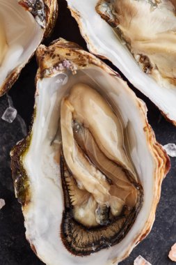 Limon dilimleri ve siyah mermer masada tuz vahşi Hollanda istiridye hizmet