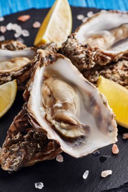 İyi de claire istiridye mavi ahşap masa limon dilimleri ile servis