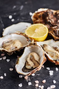 Limon dilimleri ve siyah mermer masada tuz vahşi Hollanda istiridye hizmet