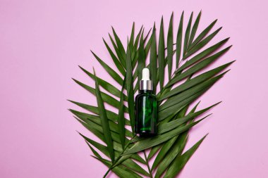 Yüz yağlı yeşil damlacık şişesi ya da açık mor arka planda yapraklı serum. Doğal kozmetik, güzellik ya da aromaterapi konsepti.