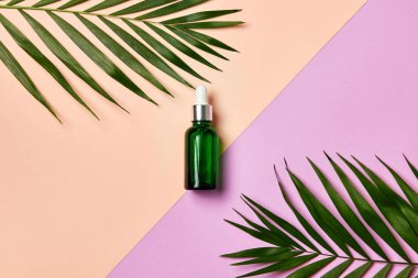Açık mor ve bej arka planda yaprakları olan yüz kremi ya da serum içeren yeşil damlacık şişesi. Doğal kozmetik, güzellik ya da aromaterapi konsepti.