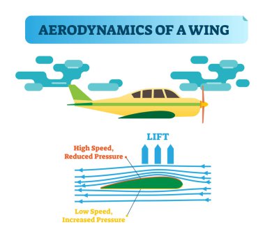 Kanadı sinekler nasıl? Aerodinamik bir kanat - hava akış diyagramı Rüzgar akış oklarını ve hava basınç farkı oluşturur kanat şeklinde. Havacılık kanununda fizik.