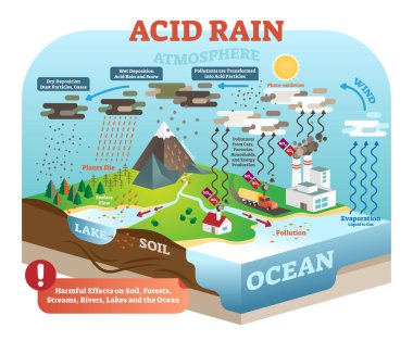 Asit yağmuru döngüsünde doğa ekosistem, izometrik Infographic sahne, vektör çizim. Planet earth küresel çevre dengesi zararlı tehlikeleri.