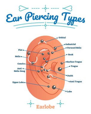 Güzellik ve moda tıp vektör illüstrasyon diyagram türleriyle kulak piercing. Deldi insan kulak memesi düzeni lob, sarmal, deniz kabuğu, kale, tragus ve daith örnekler ile etiketlenmiş.