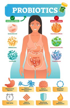 Vector illustration with probiotics. Medical bacteria and health benefits collection poster with escherichia, bifidobacteria, lactobacilli, clostridium and campylobacter. clipart