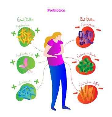 Probiotics conceptual vector illustration poster. Medical labeled diagram with female, stylized good and bad bacteria. Health care related information scheme. clipart