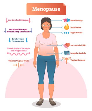 Menopause labeled vector illustration. Medical scheme and diagram with list of estrogen, ovaries, testosterone and progesterone symptoms. Anatomical explanation set. clipart