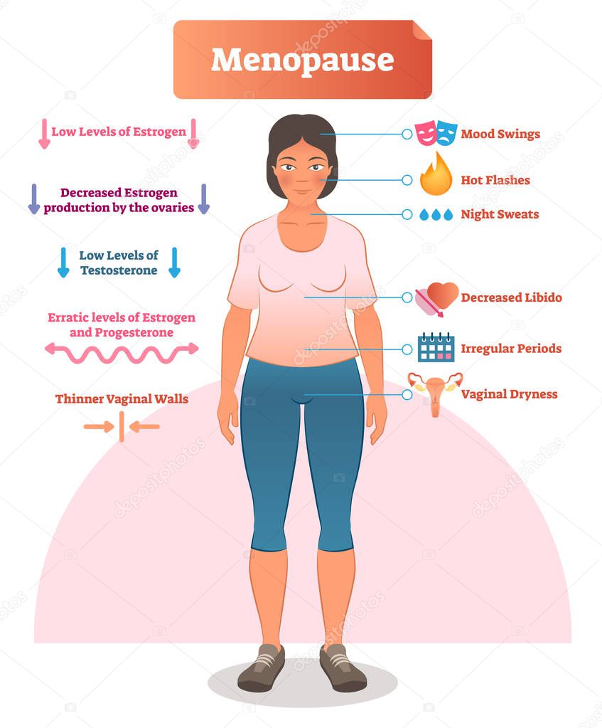 Menopause labeled vector illustration. Medical scheme and diagram with list of estrogen, ovaries, testosterone and progesterone symptoms. Anatomical explanation set.