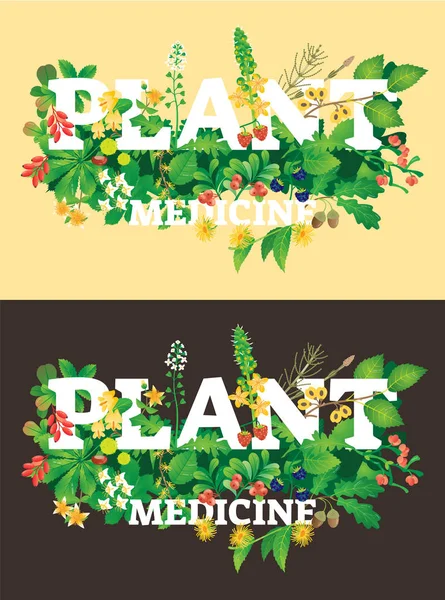 Planta medicina vector ilustración. Hermoso logotipo con flor, hojas, fresa y bellota sobre fondo oscuro y brillante. Texto con atmósfera forestal — Vector de stock