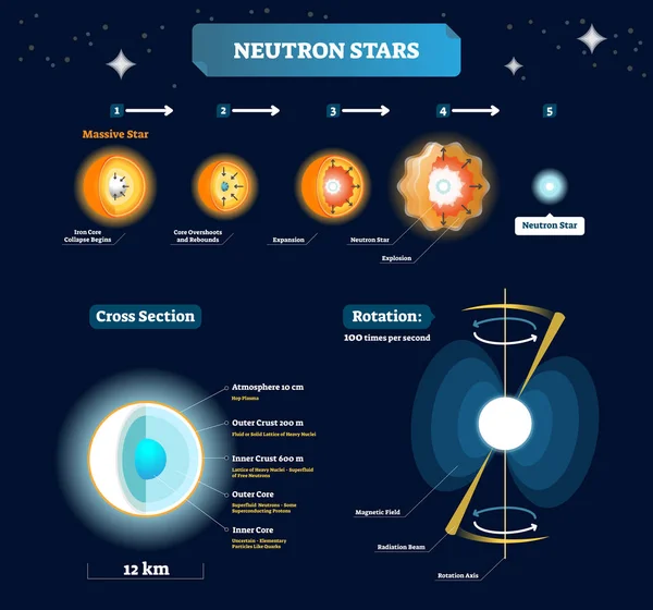 Illustrazione vettoriale delle stelle di neutroni. Schema educativo etichettato con enormi stadi stellari all'esplosione. Sezione trasversale con struttura e titoli. Spiegazione rotazione pianeta . — Vettoriale Stock