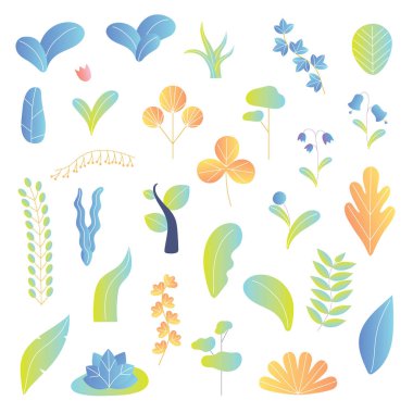 Modern bitkiler resimde arka plan öğeleri koleksiyonu kümesi vektör. Yaprakları, ağaç, çiçek ve diğer renkli botanik, ekoloji ve biyografi otlar. Doğa güzel yeşil flora. İzole organik öğeleri.