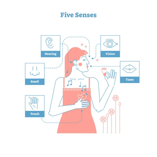 Cinco sentidos humanos, esquema artístico conceptual estilo diseño gráfico vector ilustración cartel con hembra y 5 sentidos iconos - tacto, olfato, oído, visión y gusto . — Vector de stock