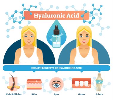 Hyaluronik asit vektör çizim. Hücre sağlık yararları anti-aging.