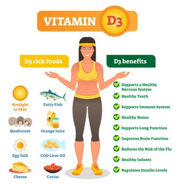 D3 vitamini vektör çizim. Onun faydaları ve besin kaynağı ile listesi